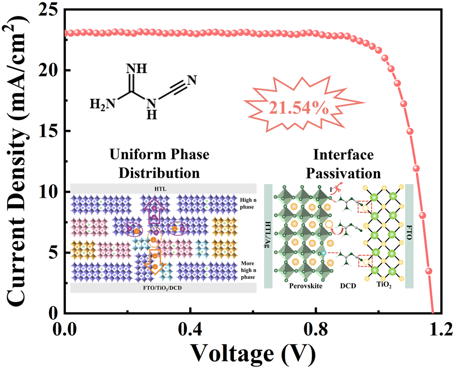 Dicyandiamide-Driven Tailoring of the n-Value Distribution and Interface Dynamics for High-Performance ACI 2D Perovskite Solar Cells