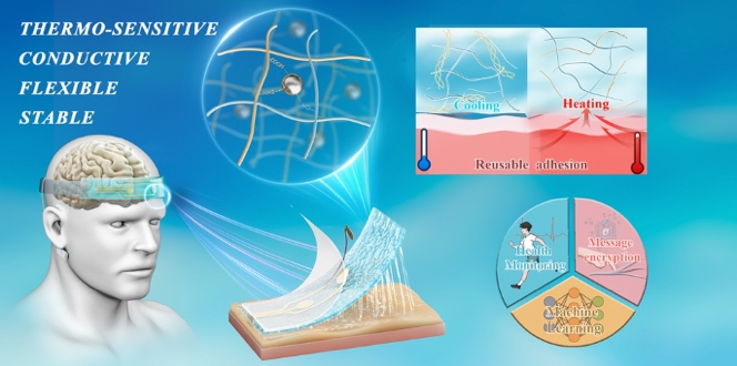 Machine Learning Enabled Reusable Adhesion, Entangled Network-Based Hydrogel for Long-Term, High-Fidelity EEG Recording and Attention Assessment