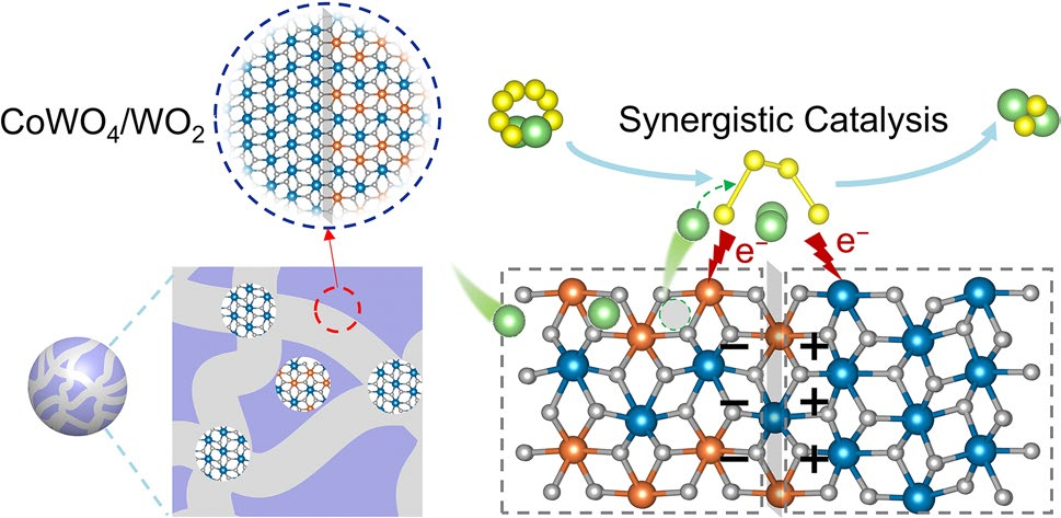 Metallic WO2-Promoted CoWO4/WO2 Heterojunction with Intercalation-Mediated Catalysis for Lithium–Sulfur Batteries
