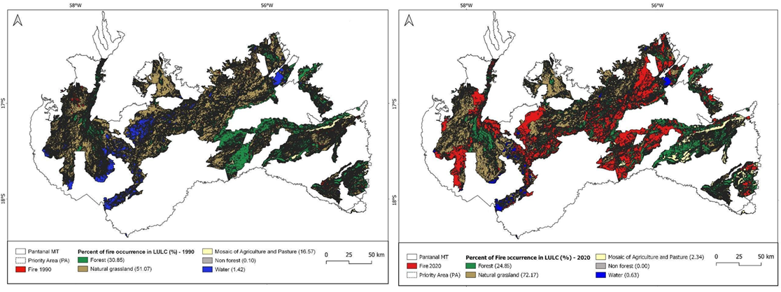  Evaluating Public Policies in Fire-affected Conservation Priority Areas of the Brazilian Pantanal