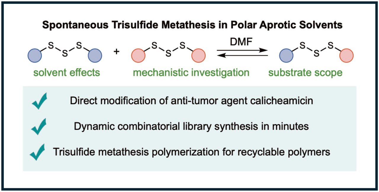 Unusual Trisulfide Chemistry