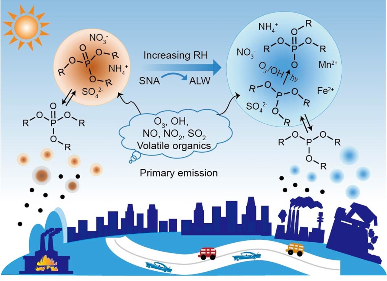 Hidden Chemistry in Winter Haze: How Aerosol Water Drives New Pollutant Formation