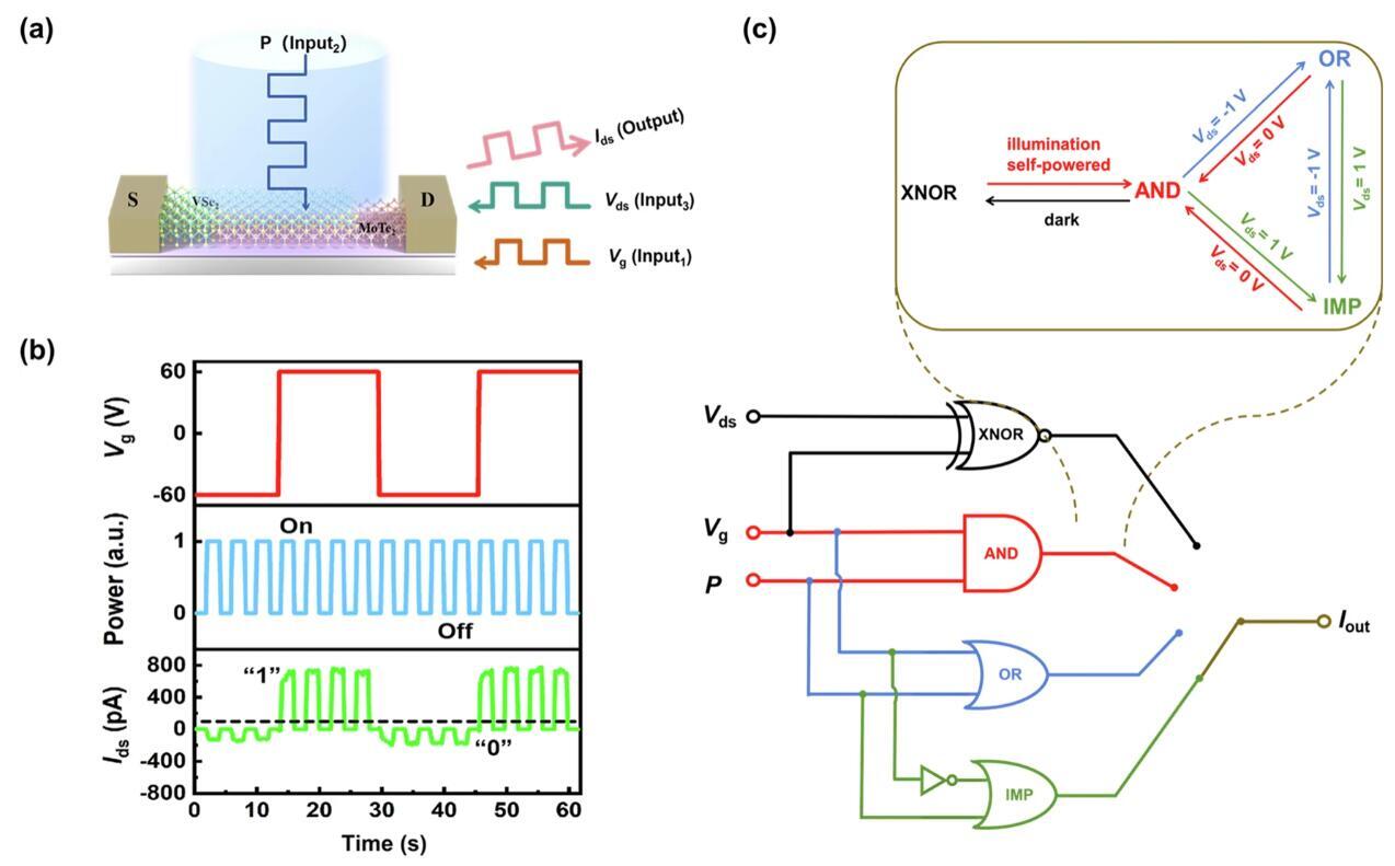 2D Schottky junction device reveals optoelectronic reconfiguration concept