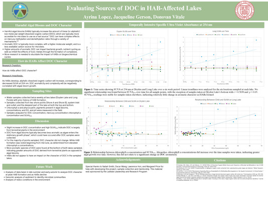 Evaluating Sources of DOC in HAB-Affected Lakes