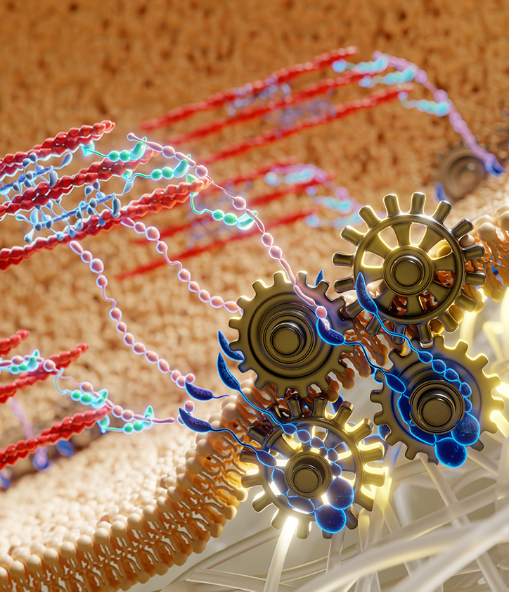 Do living cells use elastic molecular suspensions for environment mechanosensing and a smooth ride?