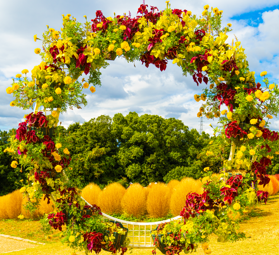 Electrochemical Synthesis of Circulenes