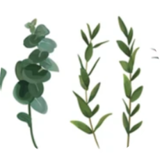 Go to the profile of Silvia Milana