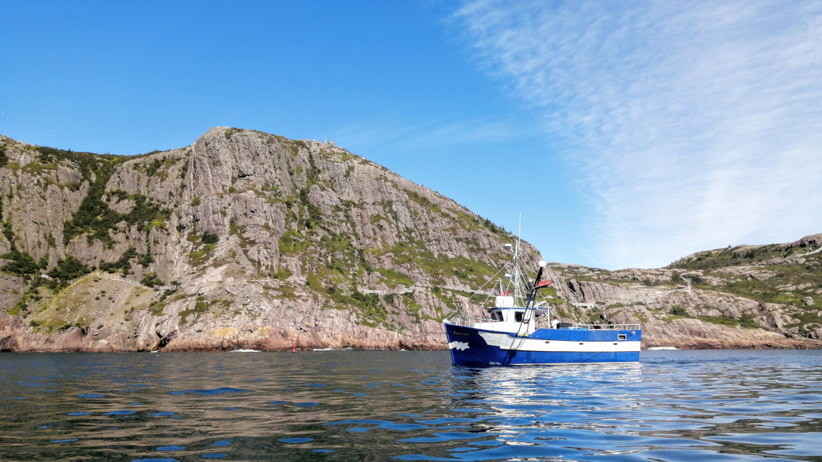 Climate hiccups and fisheries management headaches 