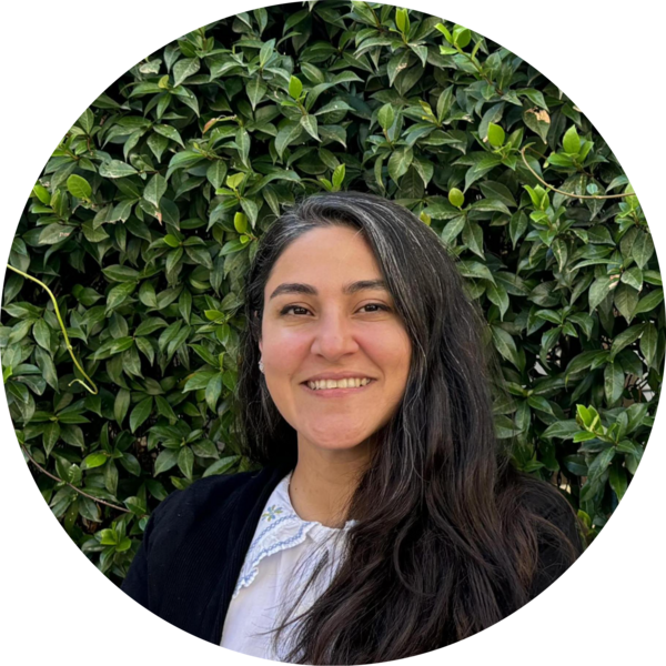 Go to the profile of Nour Shamas