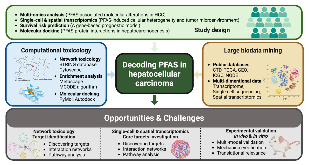 Embrace Changes, Always