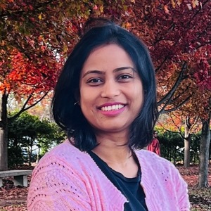 Go to the profile of Minakshi Saikia