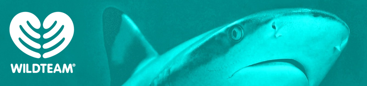 Free manual: Grant Writing for Wildlife Conservation