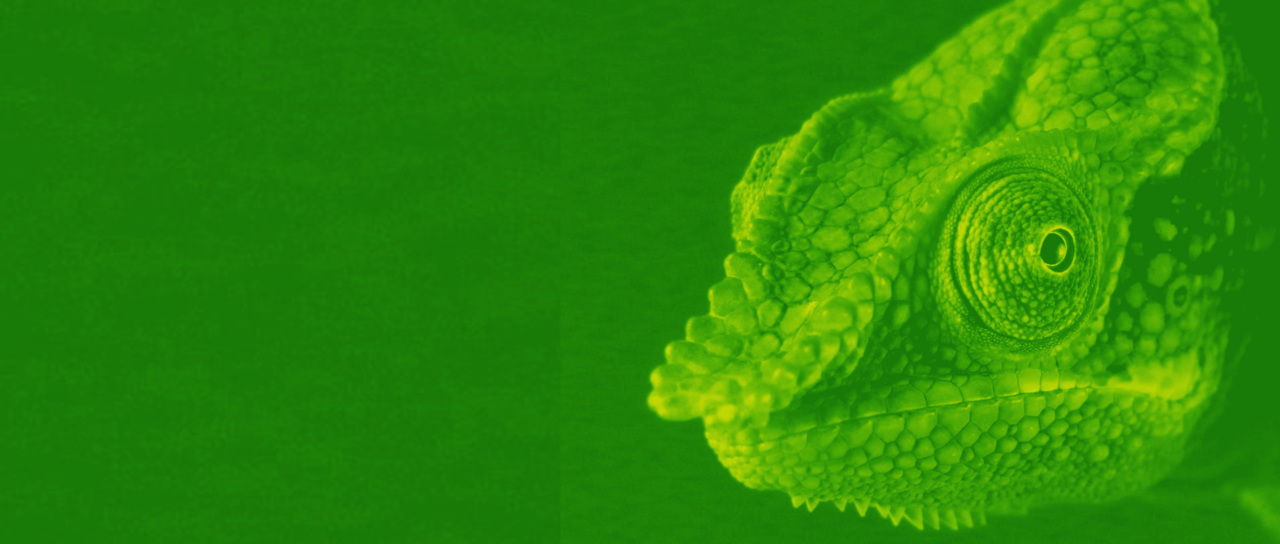 New, improved best practice: Strategy Development for Wildlife Conservation