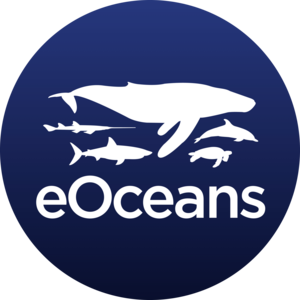 Go to the profile of Christine Ward-Paige