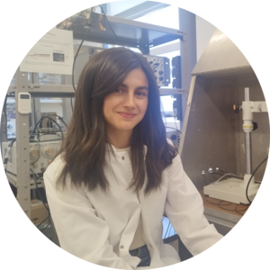 Go to the profile of Ines Erkizia-Santamaria