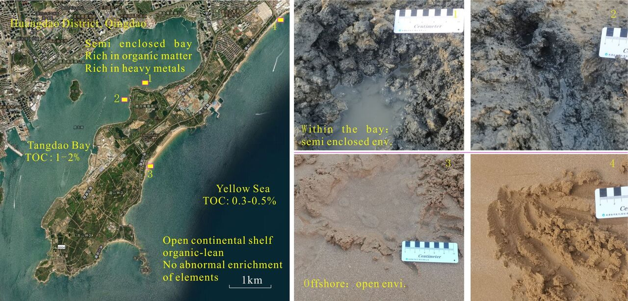Geological Survivorship Effect: New Perspectives in Geology