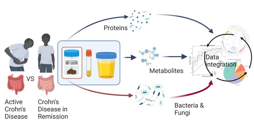 A Holistic and Molecular View of Crohn's Disease