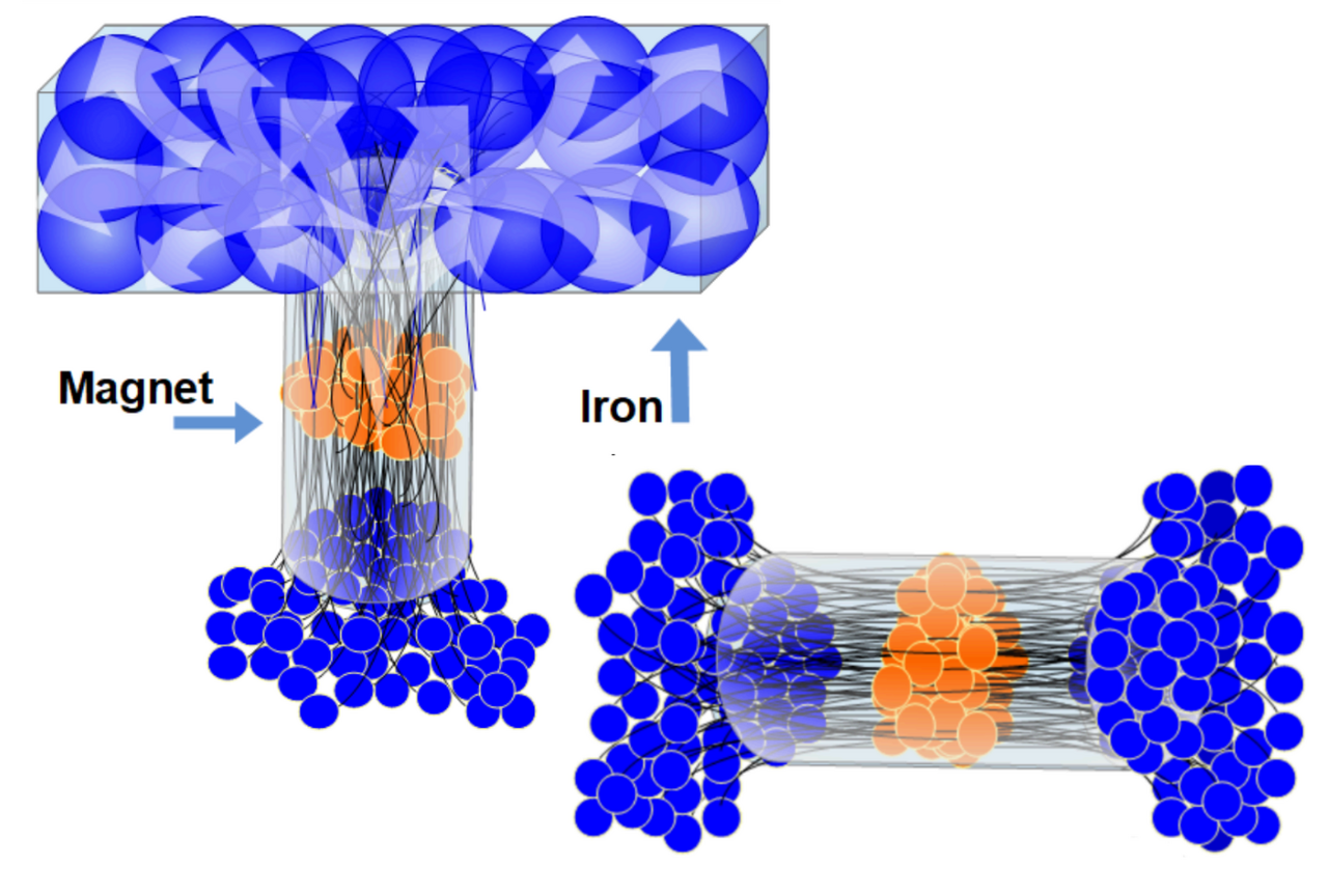 Theory of Nature: Unified Properties of Magnetism, Electricity, and Light