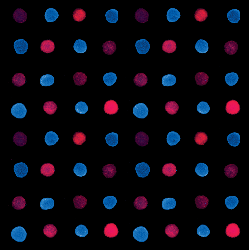 Aspiration-Assisted Bioprinting of Spheroids