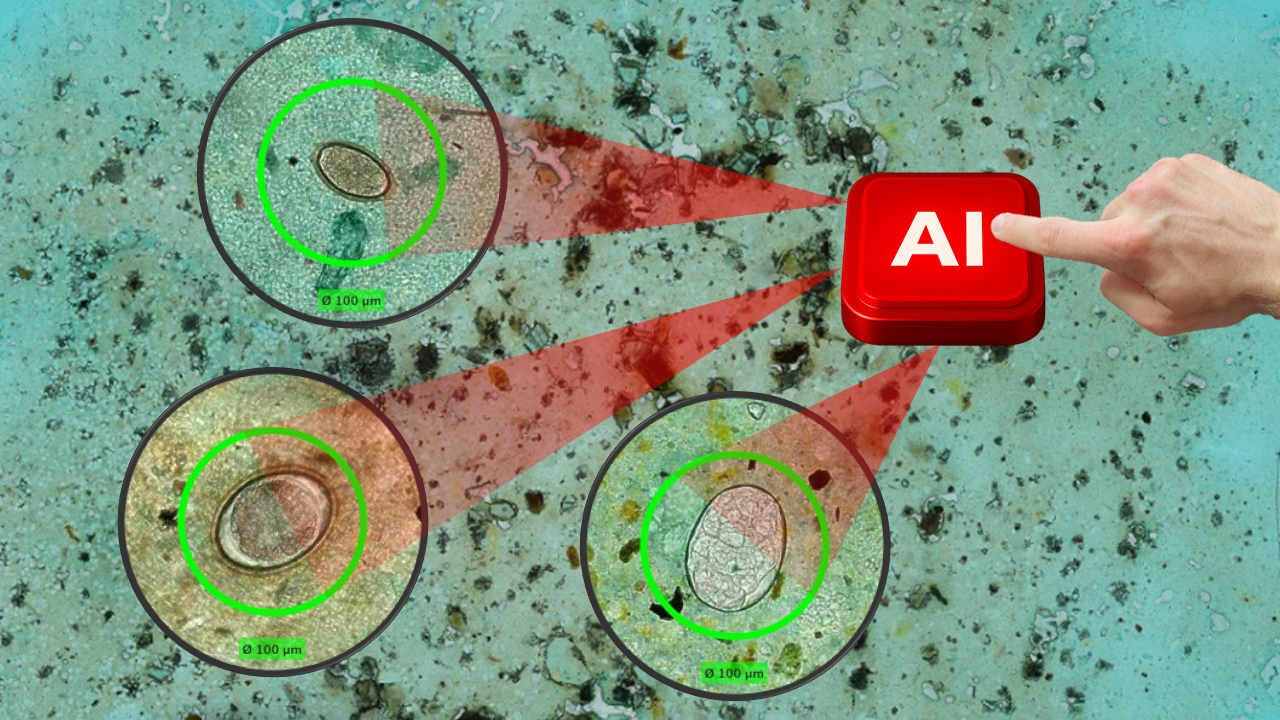 AI-supported Microscopy Enhances the Detection of Intestinal Parasitic Infections in Primary Healthcare