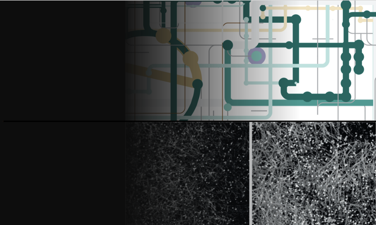 Virulence factors not required?