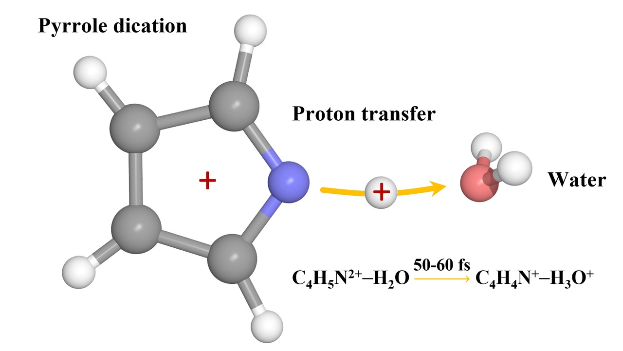 Unlocking the Secrets of Ultrafast Intermolecular Proton Transfer in Hydrated Biomolecules