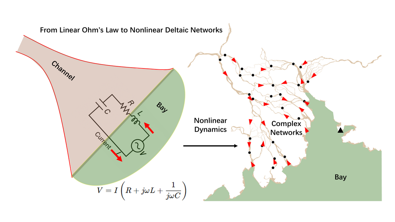 Tracing resilience propagation in river deltas 