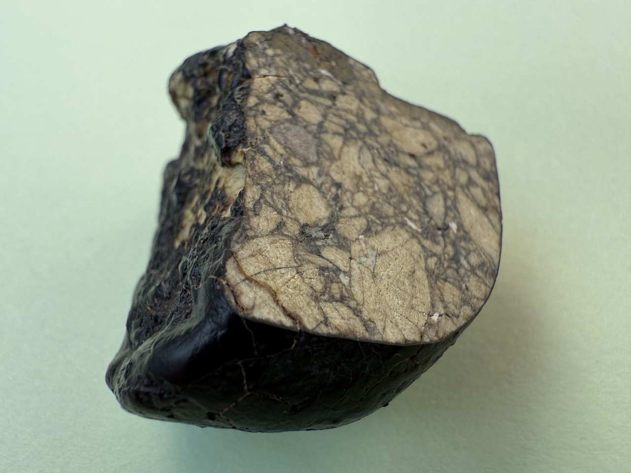 The Timing of Protoplanet Formation in the Outer Solar System