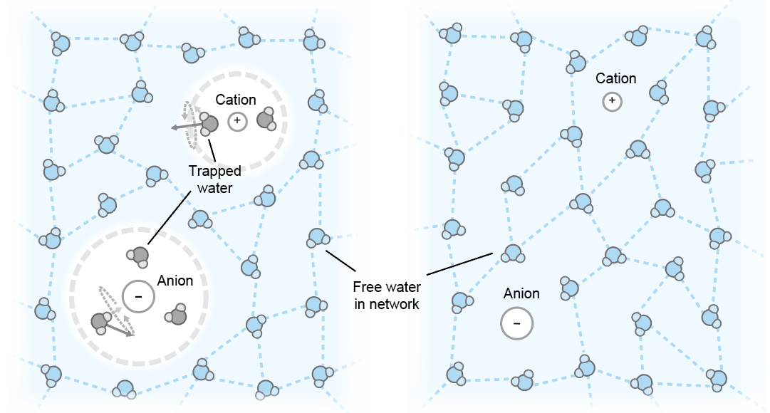 Revisiting Protein Denaturation through Water Network