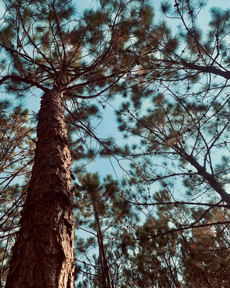 UNSEEN BUT UNSTOPPABLE