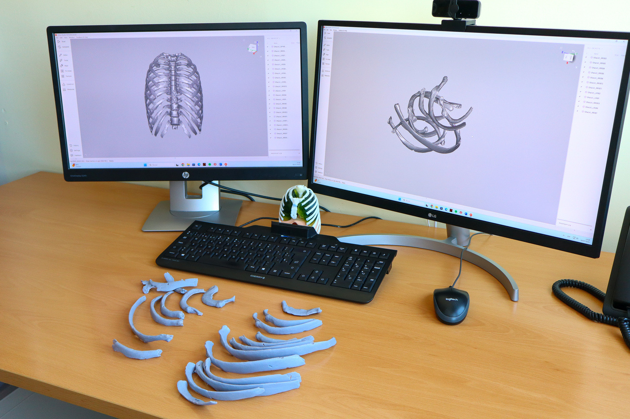 Why fossil ribs are a researcher’s nightmare — and how 3D printing saves the day!