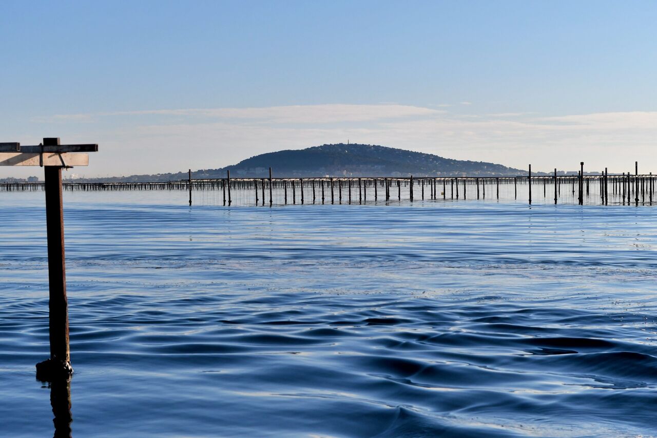 A world first in Hydrogeology: monitoring and modeling of a long duration flow reversal at a submarine spring