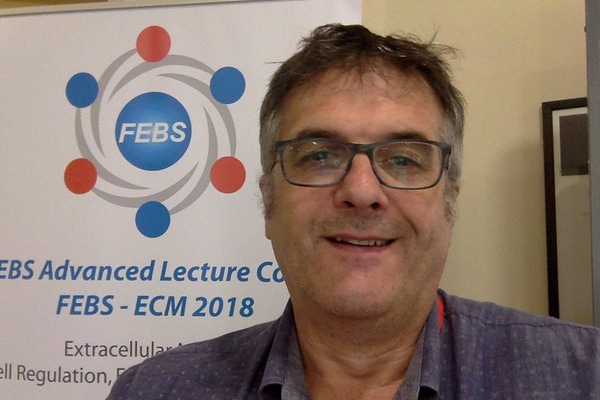 Go to the profile of Manuel Dauchez