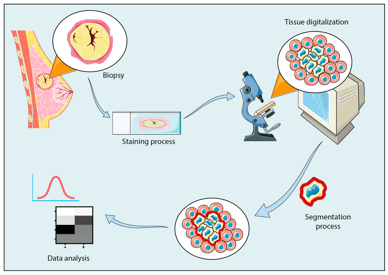 Guide to Histopathology Slide Evaluation and Digital Interpretation