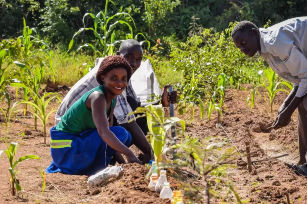 Community-led Land-Use Management Webinar with Sensing Clues: The Mponda Case