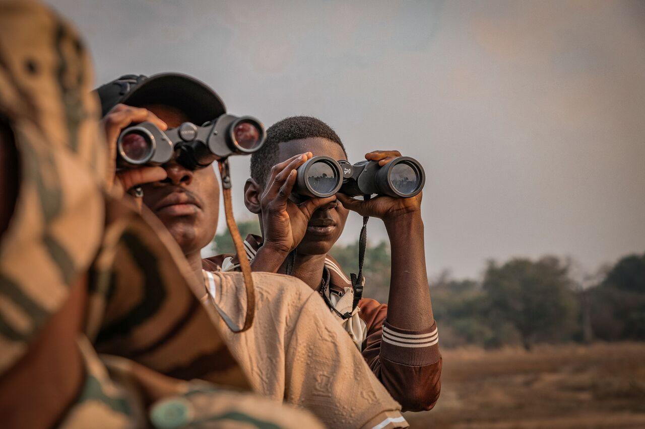 Co-Create Conservation Tech: Features, Fixes & Roadmap Workshop "Focus 360 vs. Analytical Toolbox" with Sensing Clues