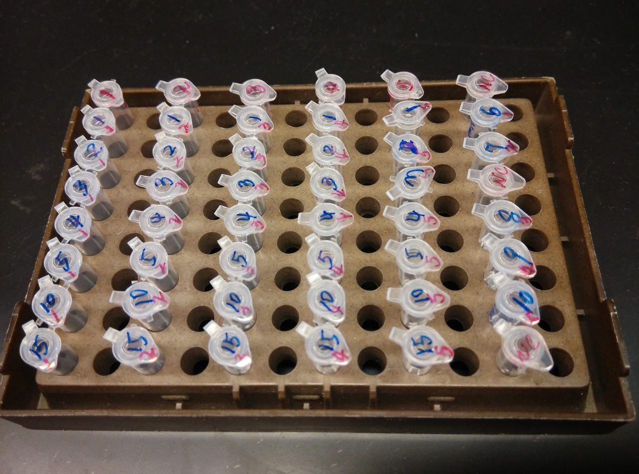 Mistakes happen, catch them if you can.