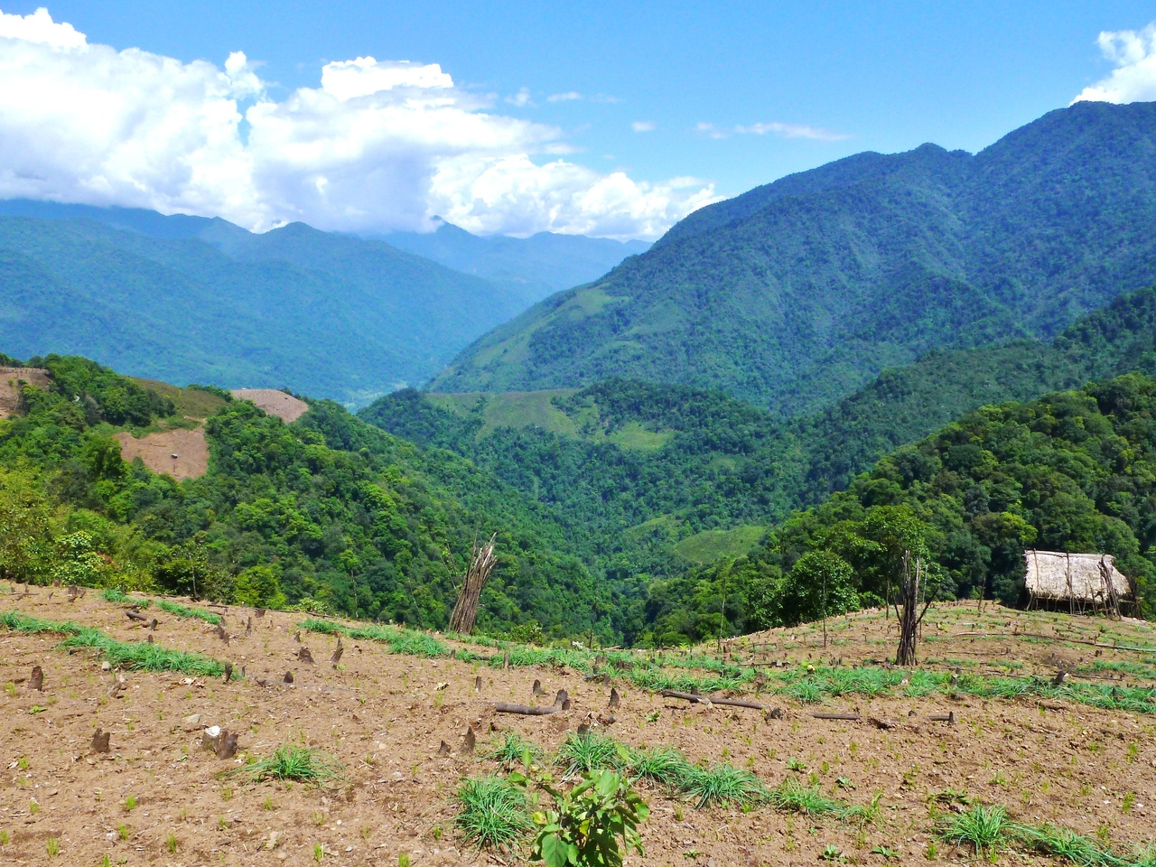 Why an ancient farming method is changing in the Himalayas