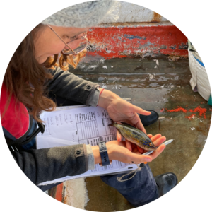 Go to the profile of Flavia Scocca