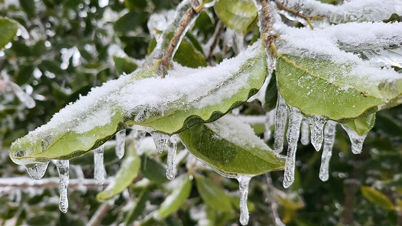 Sea-level rise is reshaping global climate far beyond coasts