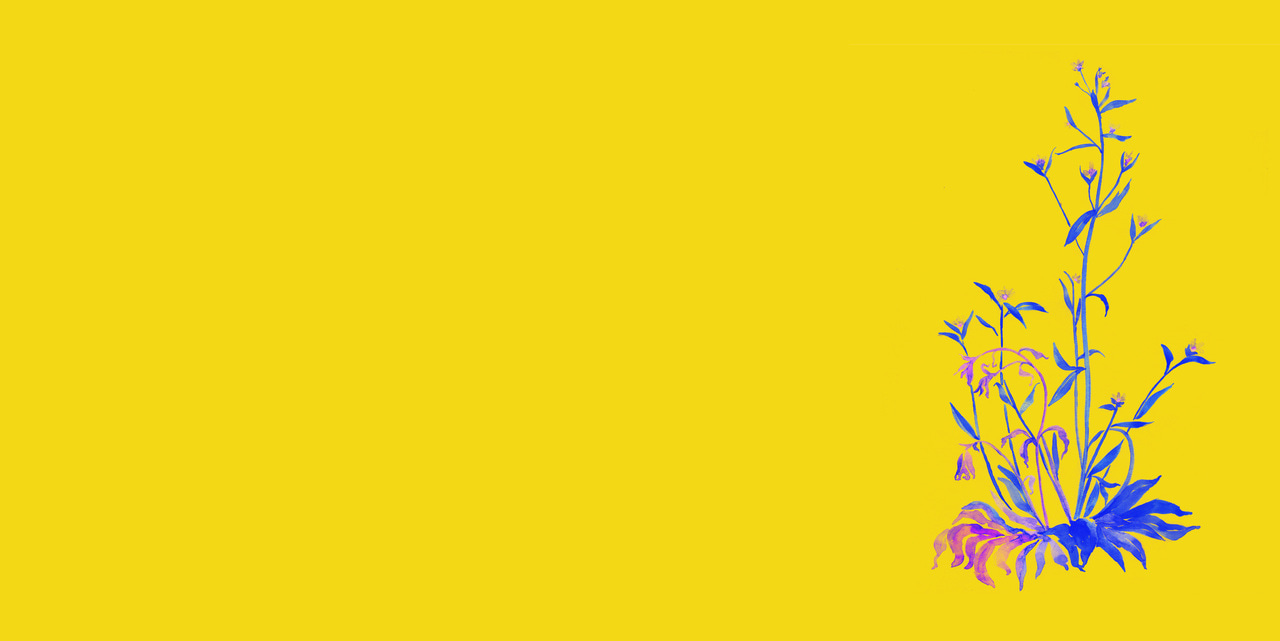 Behind the Paper: Drought recovery in plants triggers a cell-state-specific immune activation