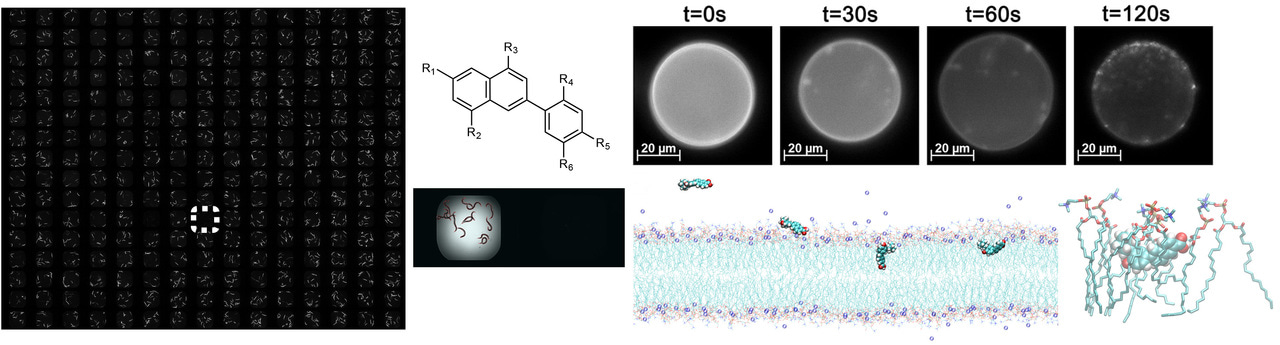 Synthetic retinoids effective against MRSA persister cells