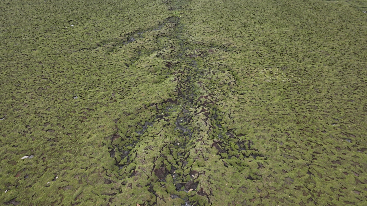 Abrupt permafrost thaw accelerates soil phosphorus cycling