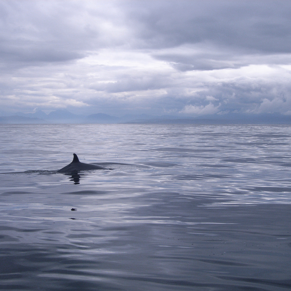 Hello from John in North Yorkshire, UK