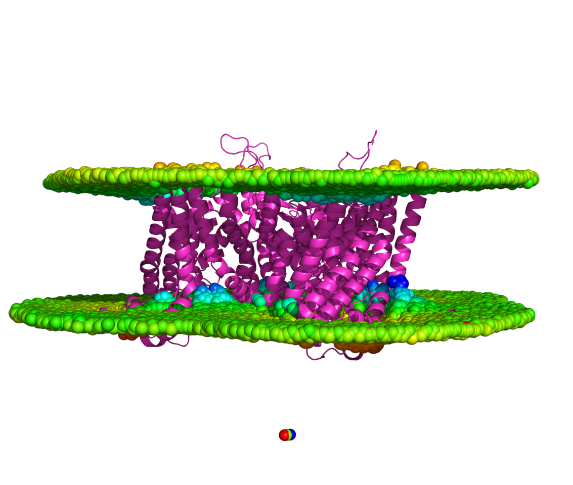 The Soluble Paradox: A Life Beneath the Surface
