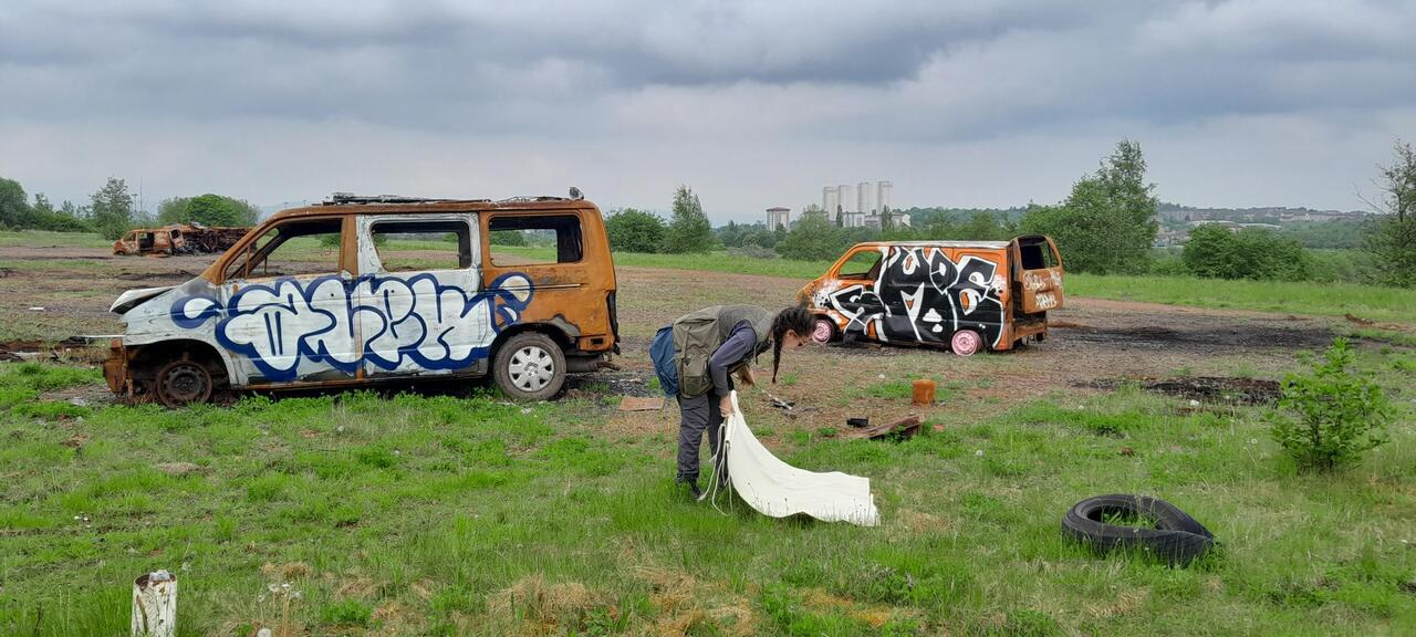 Why do some cities have more ticks than others?