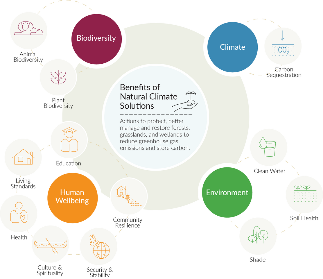 Getting carbon markets right requires understanding local impacts of global offset projects