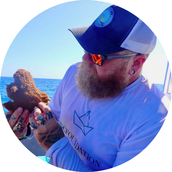 Go to the profile of Owen O'Shea