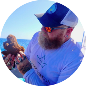 Go to the profile of Owen O'Shea