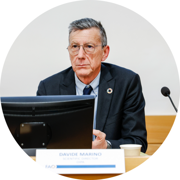 Go to the profile of DAVIDE MARINO